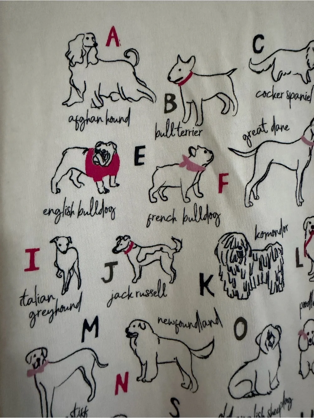 J.Crew Collector Tee Dogs /ABCs Sz Medium
